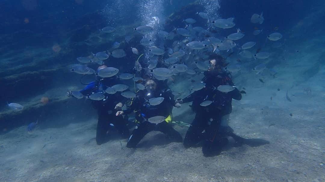 Scuba Diving - 11